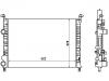 Radiator:46819261