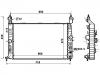 Radiator:1300413