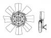 Radiator Fan:1412398
