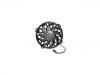 Radiator Fan:1253.F8