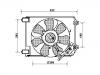 Radiator Fan:38611-P8C-A01
