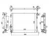 Radiator:214105169R